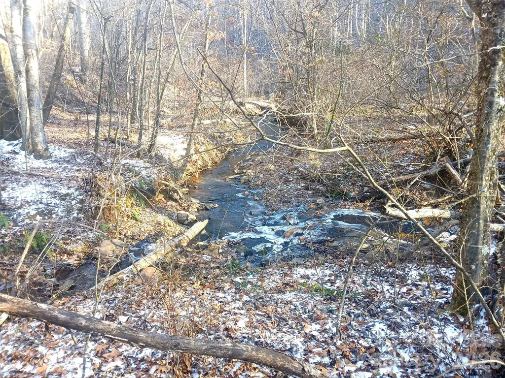 1874 Double Island Road Green Mountain NC 28740