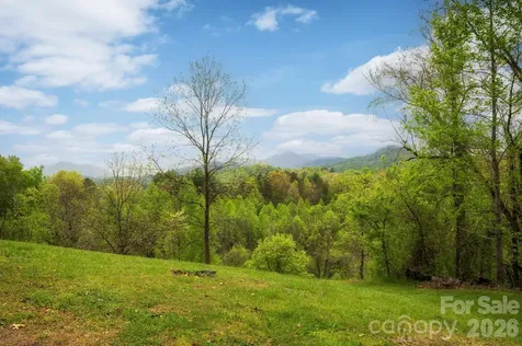 69 Heslar Way Marshall NC 28753