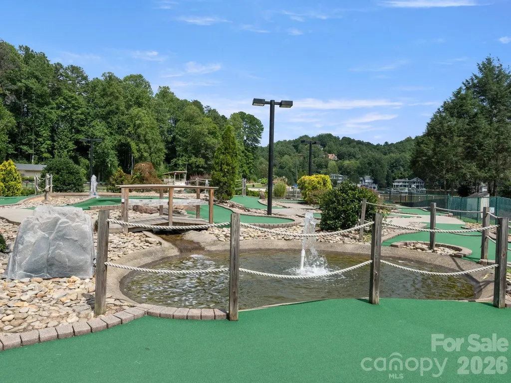 189 Cameron Lane Lake Lure NC 28746