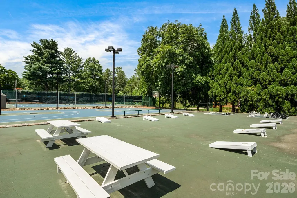 189 Cameron Lane Lake Lure NC 28746