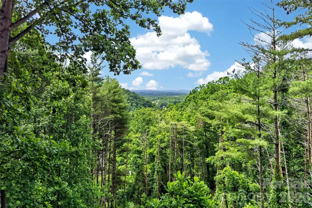 491 S Valley View Drive Mars Hill NC 28754