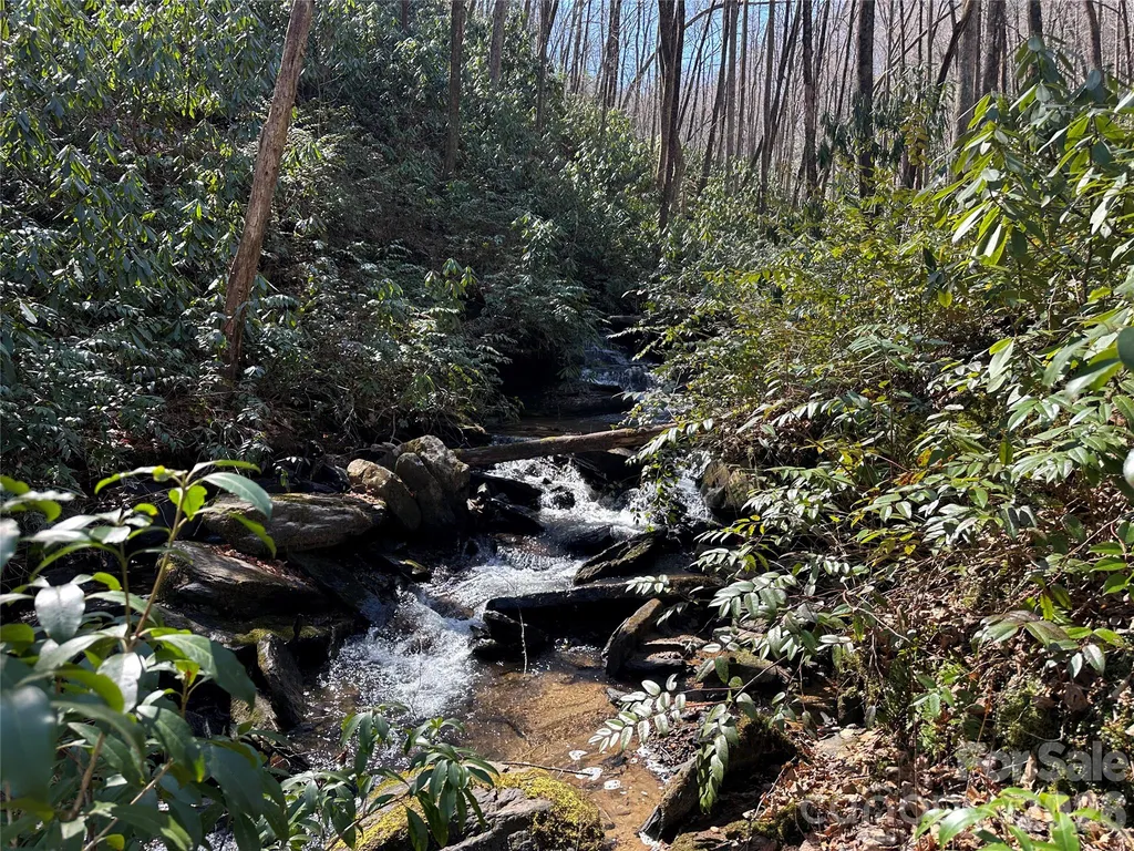 361 Rooster Cove Brevard NC 28712