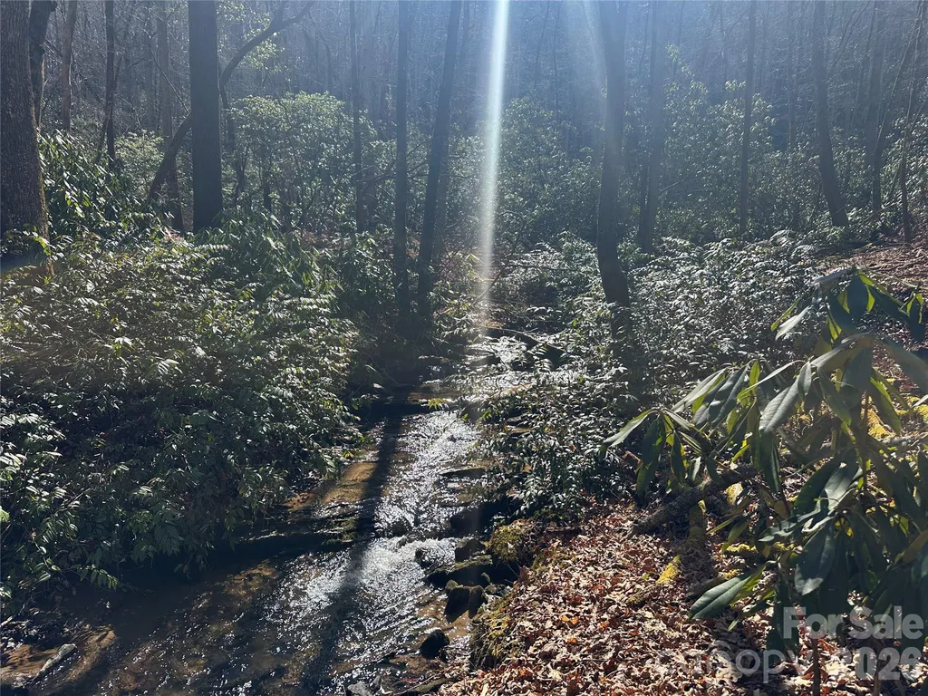 361 Rooster Cove Brevard NC 28712