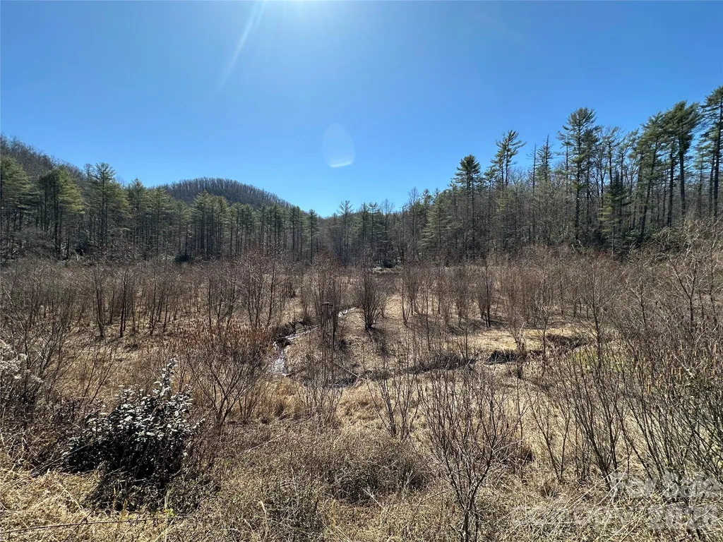 361 Rooster Cove Brevard NC 28712