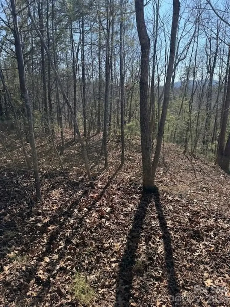 000 Dobson Knob Loop Road Marion NC 28752