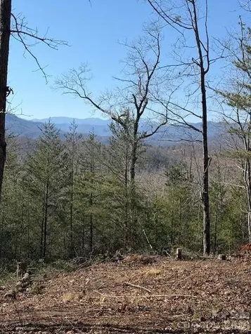 000 Dobson Knob Loop Road Marion NC 28752