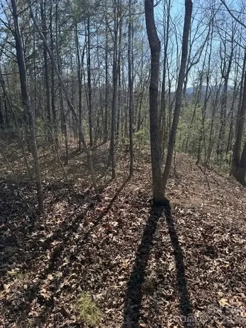 000 Dobson Knob Loop Road Marion NC 28752
