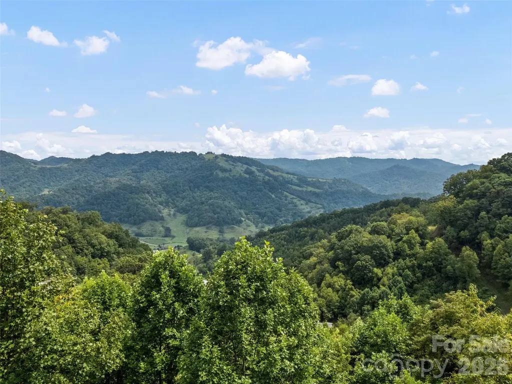 1225 Clark Road Clyde NC 28721