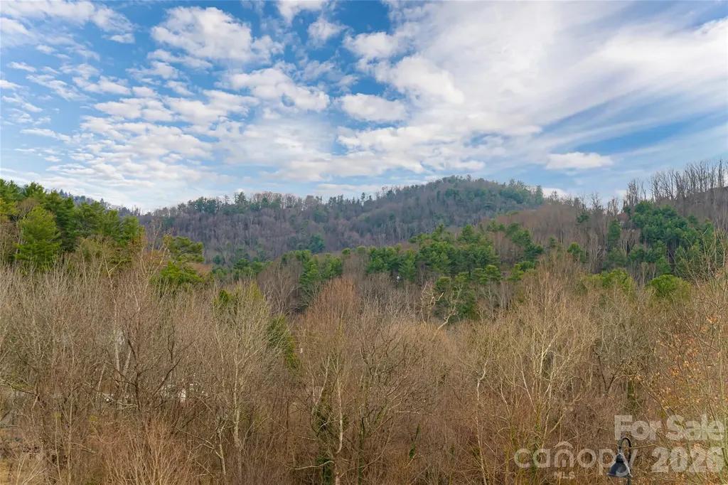 22 Snap Dragon Court Asheville NC 28804