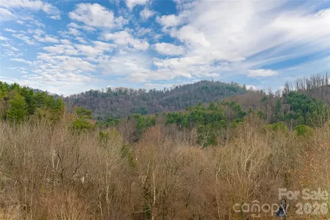 22 Snap Dragon Court Asheville NC 28804