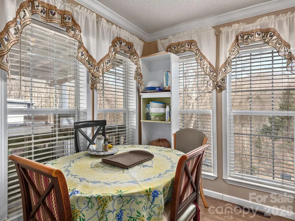 373 Starnes Cove Road Candler NC 28715