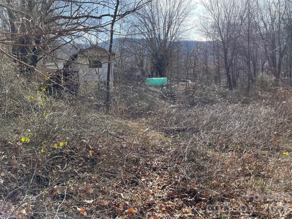 220 Max Metcalf Road Swannanoa NC 28778