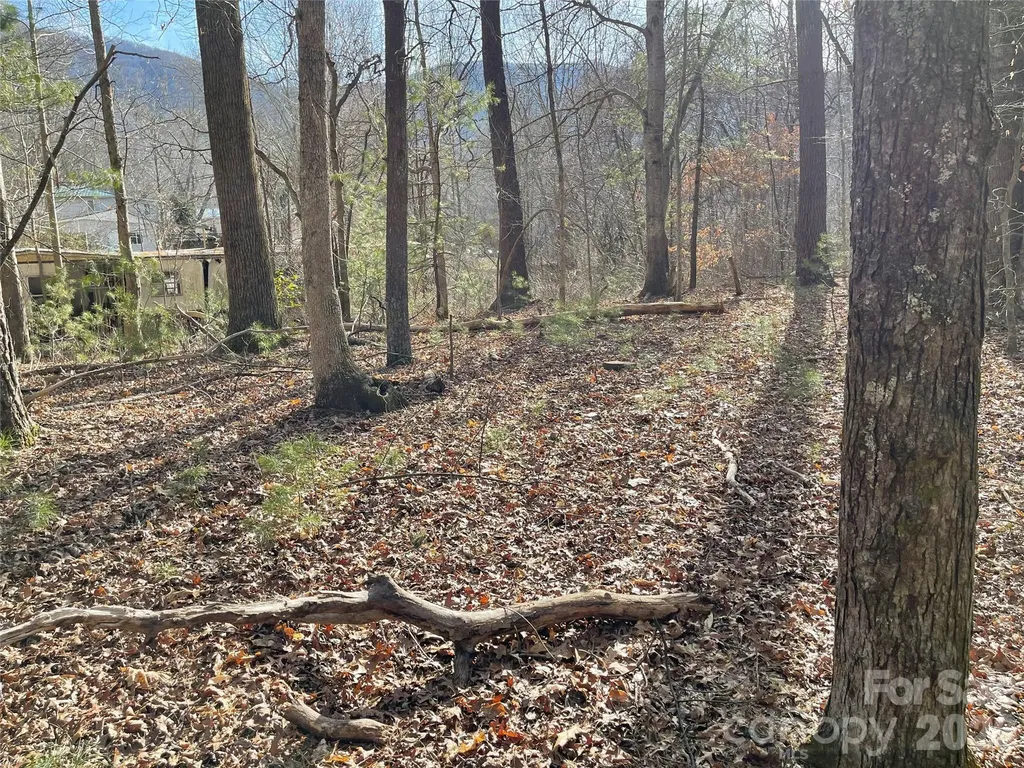 220 Max Metcalf Road Swannanoa NC 28778