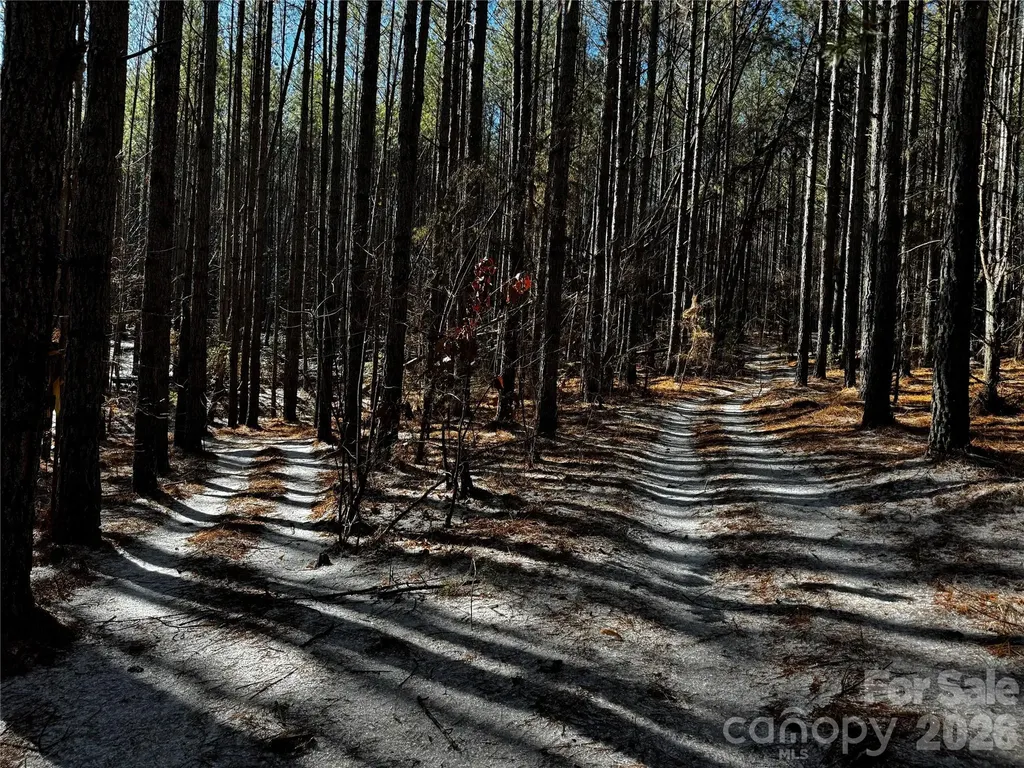 0 Painters Gap Road Union Mills NC 28167