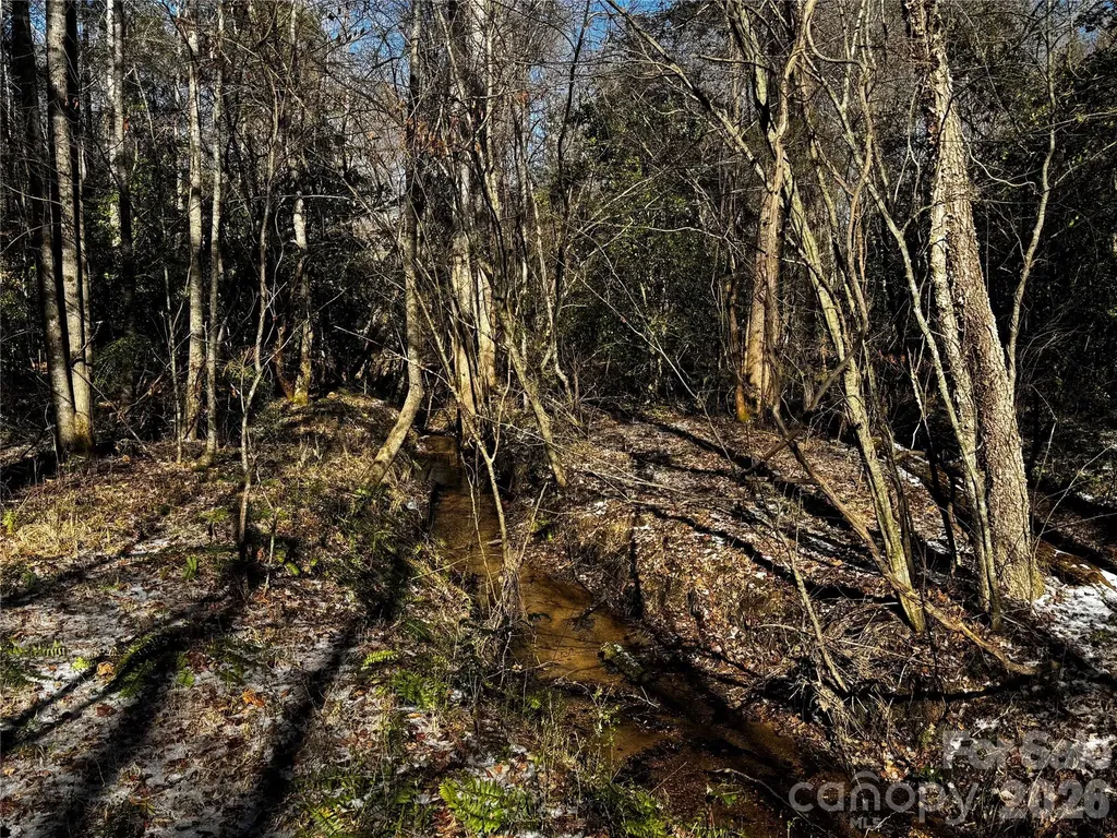 0 Painters Gap Road Union Mills NC 28167