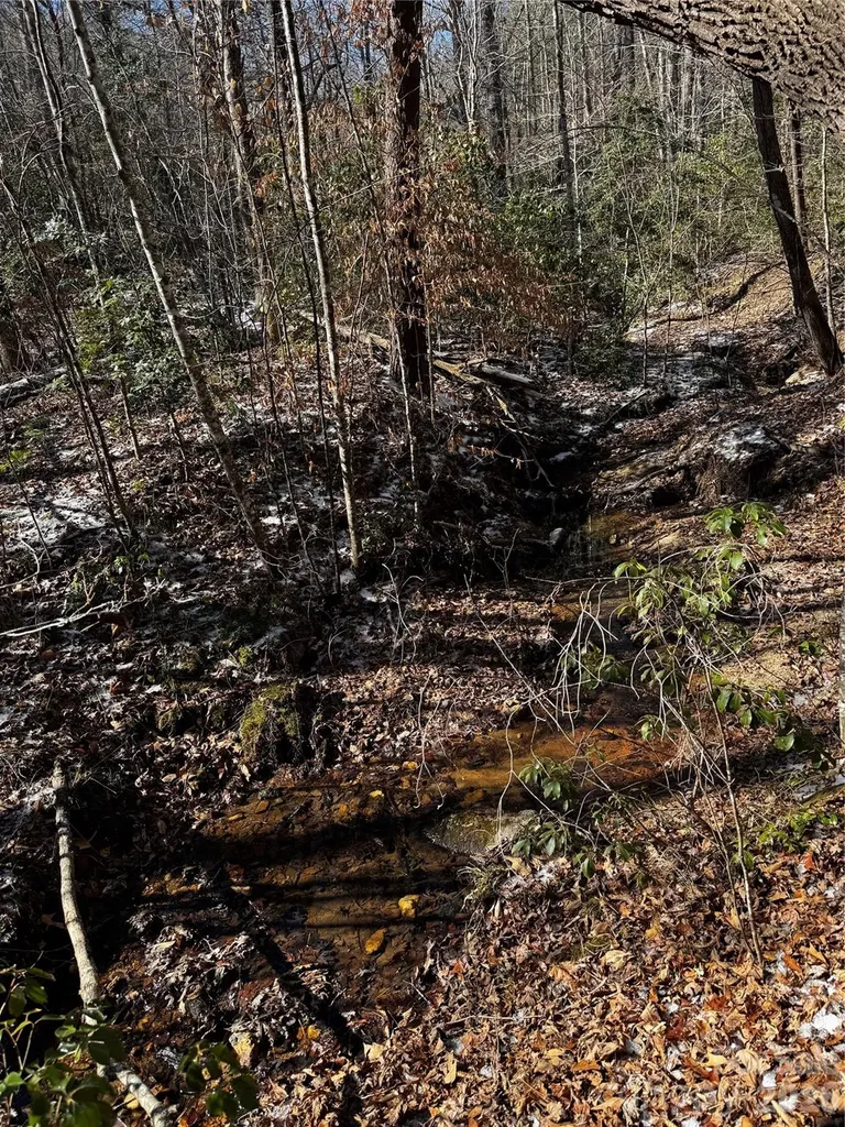 0 Painters Gap Road Union Mills NC 28167
