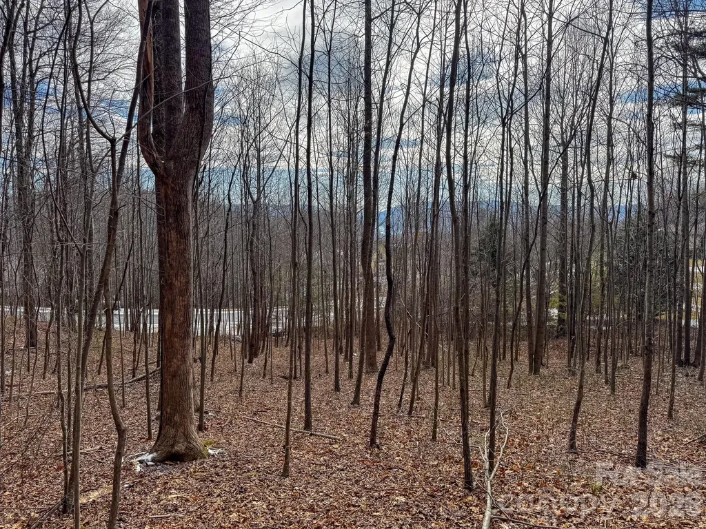 770 Somersby Parkway Hendersonville NC 28739