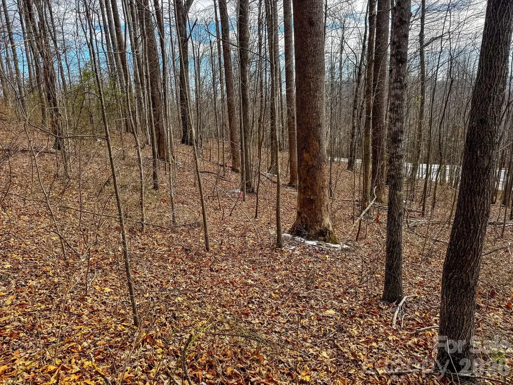 770 Somersby Parkway Hendersonville NC 28739