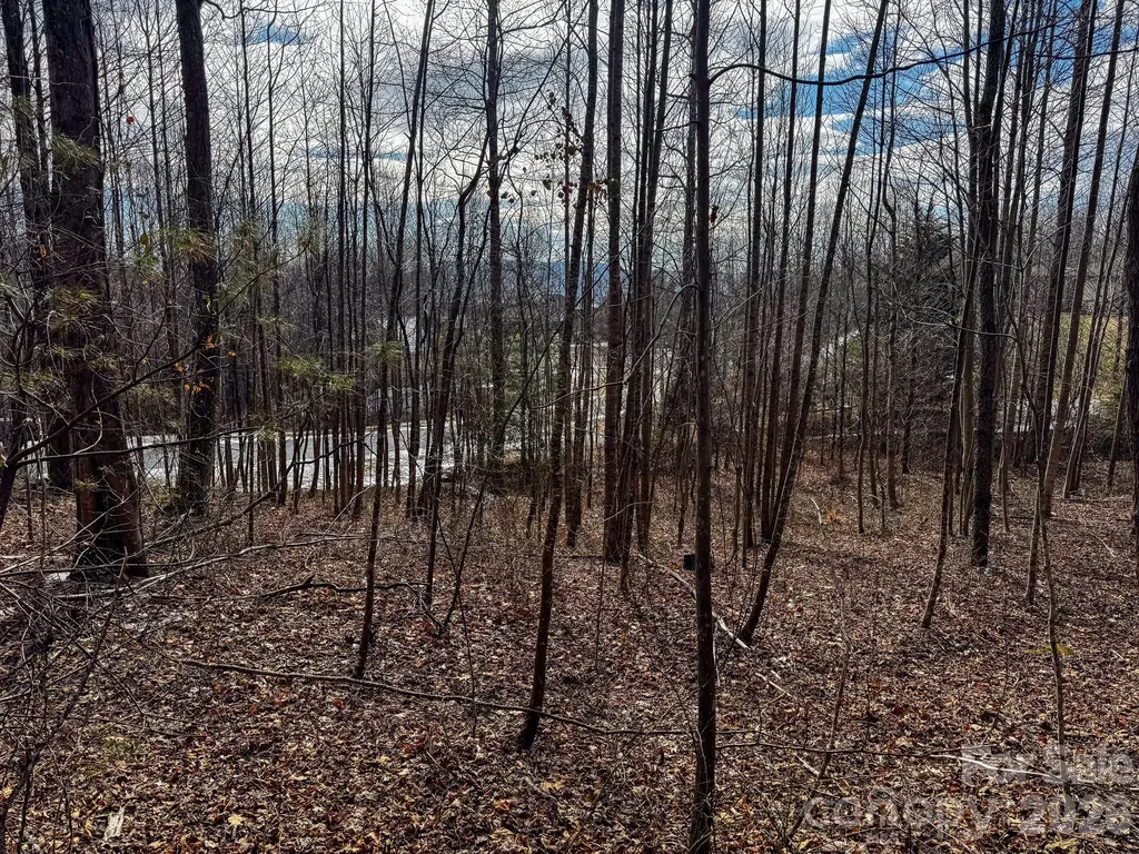 770 Somersby Parkway Hendersonville NC 28739