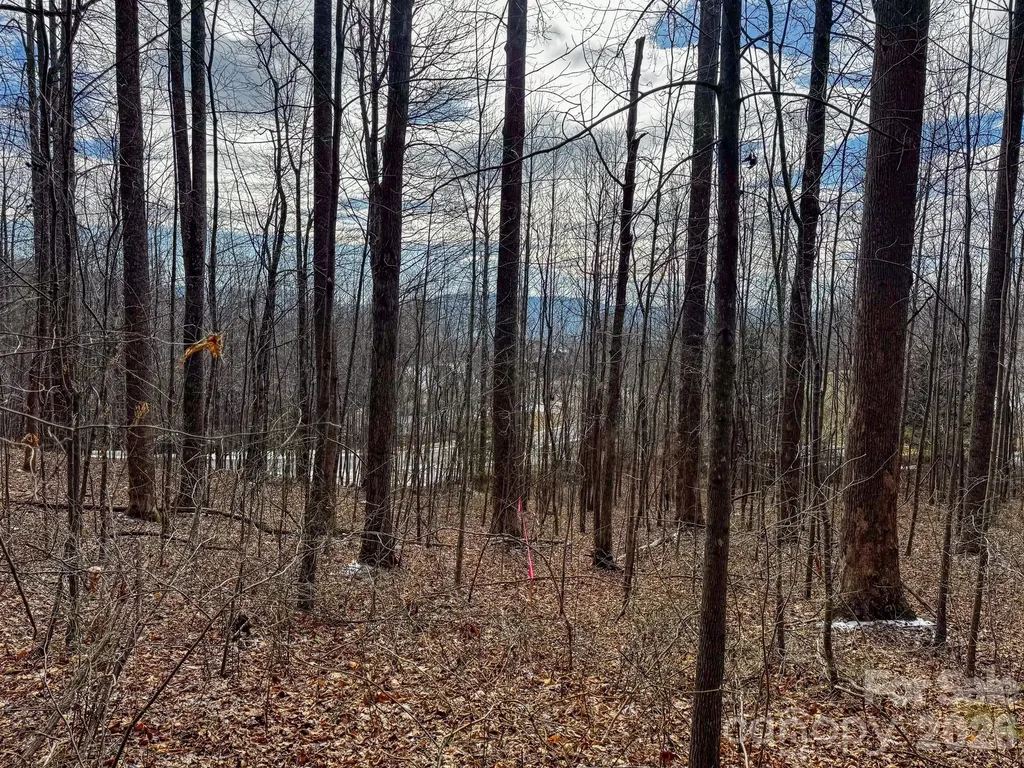 770 Somersby Parkway Hendersonville NC 28739