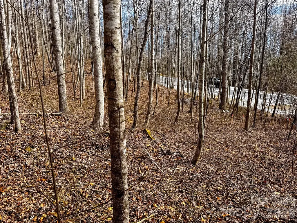 770 Somersby Parkway Hendersonville NC 28739
