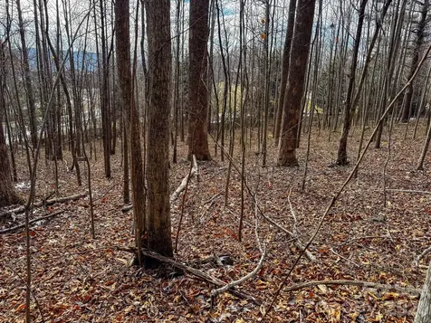 770 Somersby Parkway Hendersonville NC 28739