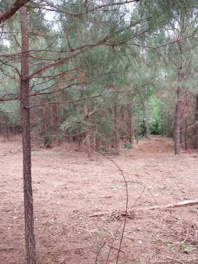 Tbd Waters Edge Drive Granite Falls NC 28630