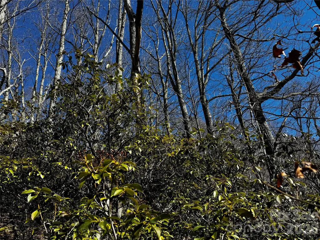Tbd Acacia Court Black Mountain NC 28711