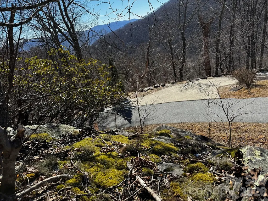 Tbd Acacia Court Black Mountain NC 28711