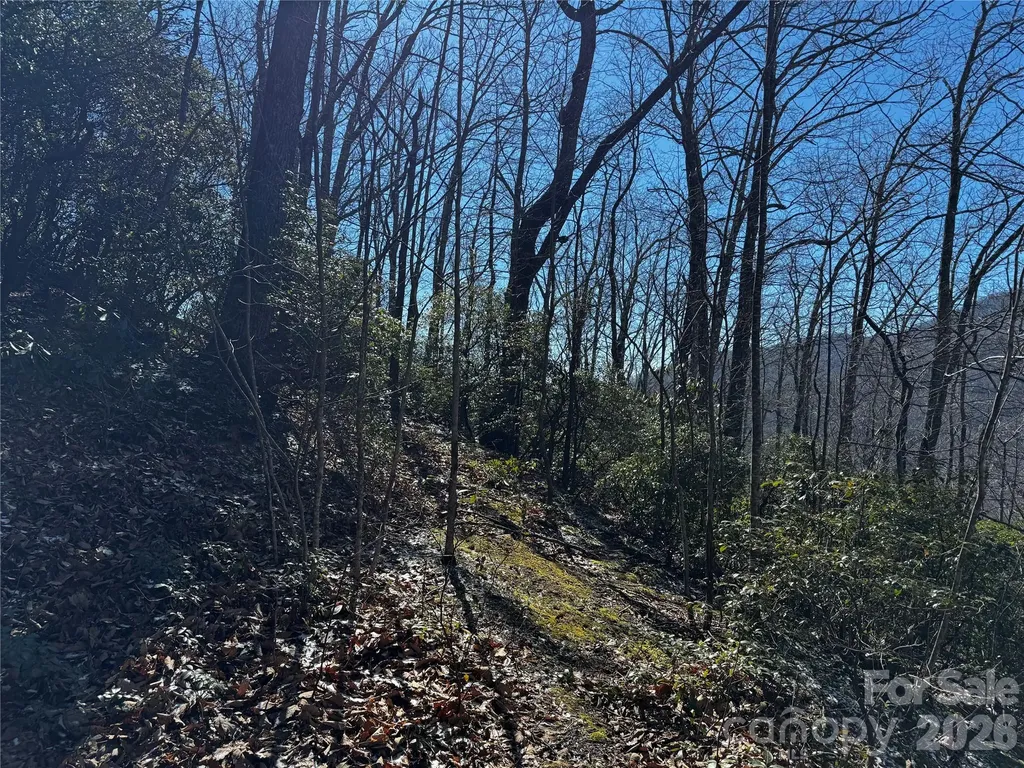 Tbd Acacia Court Black Mountain NC 28711