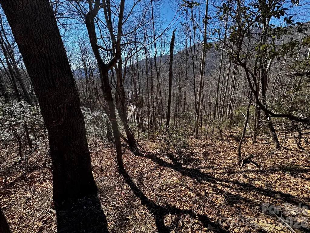 Tbd Acacia Court Black Mountain NC 28711