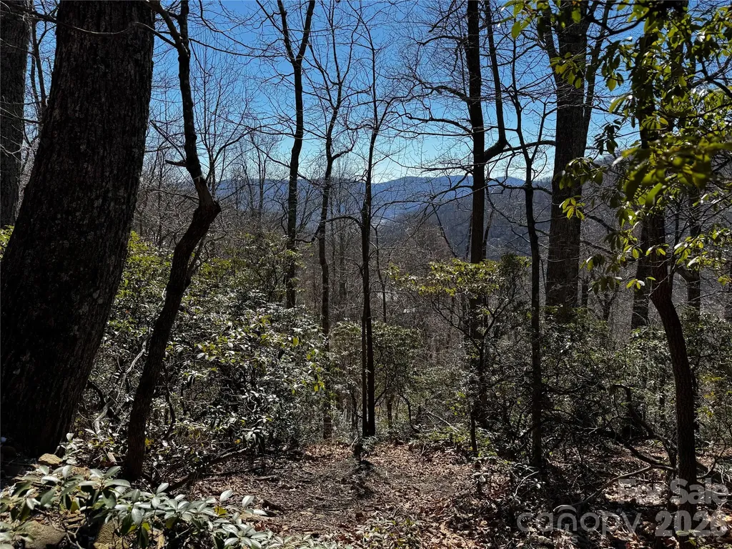 Tbd Acacia Court Black Mountain NC 28711