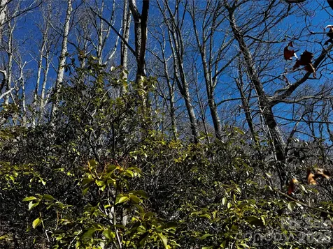 Tbd Acacia Court Black Mountain NC 28711