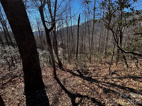 Tbd Acacia Court Black Mountain NC 28711