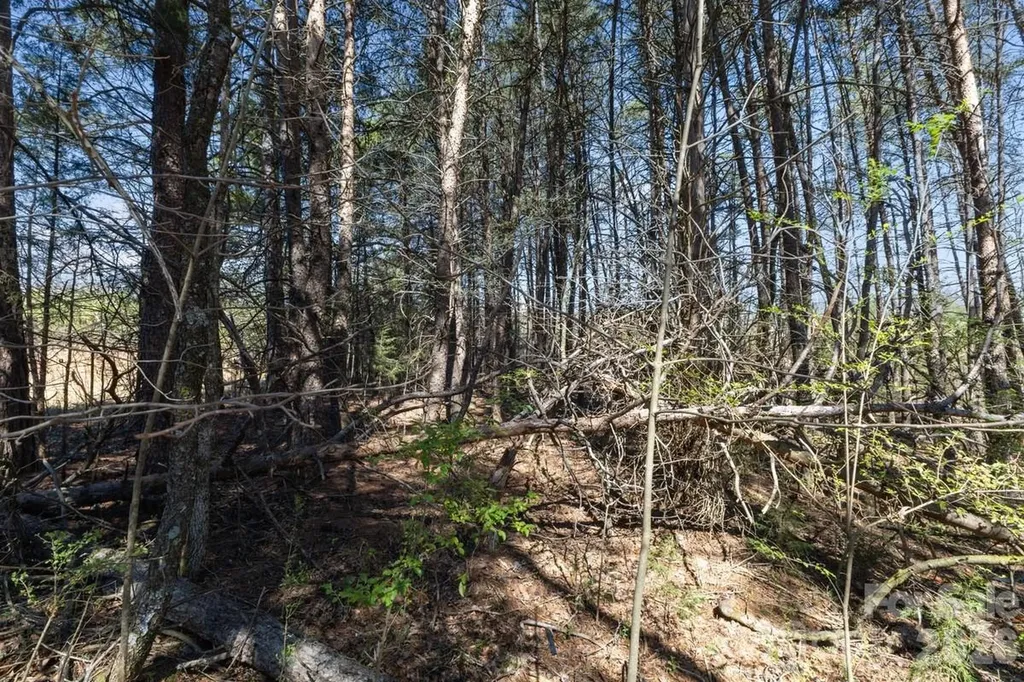 879 E Memorial Highway Harmony NC 28634