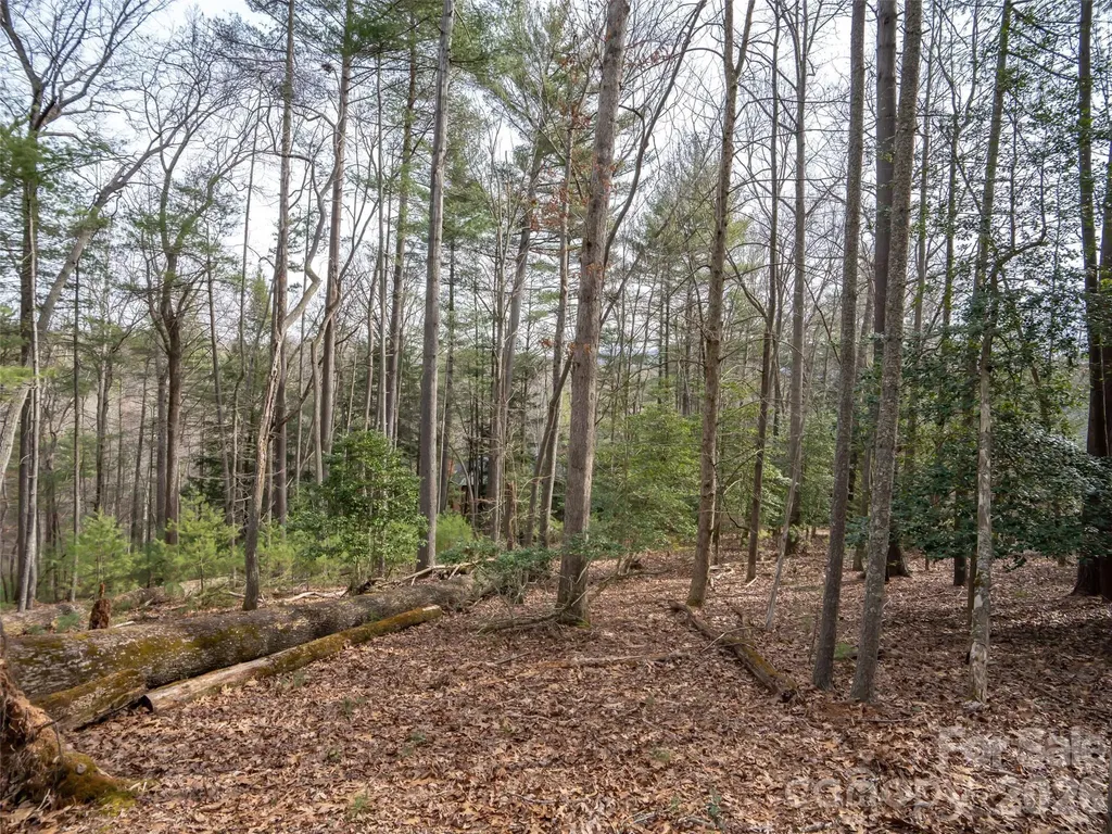 9999 Cedar Hill Drive Asheville NC 28803