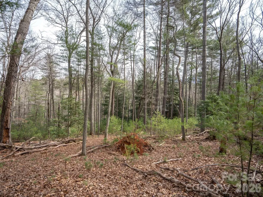 9999 Cedar Hill Drive Asheville NC 28803
