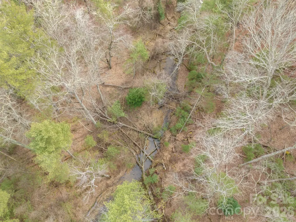 9999 Cedar Hill Drive Asheville NC 28803
