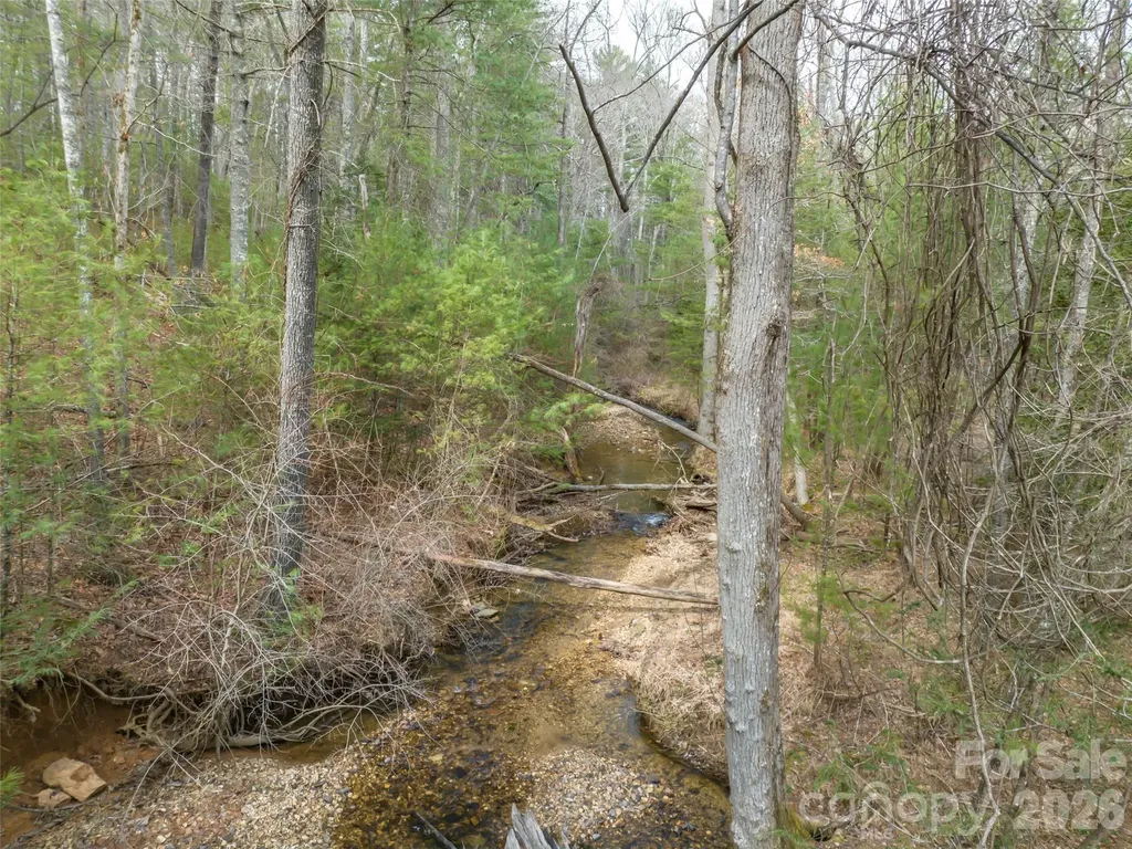 9999 Cedar Hill Drive Asheville NC 28803