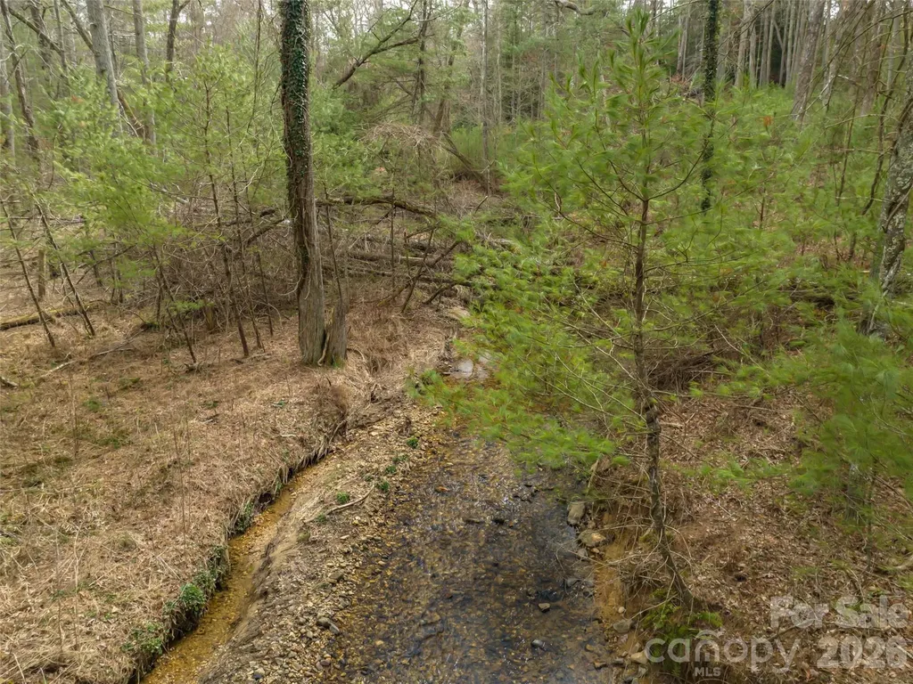 9999 Cedar Hill Drive Asheville NC 28803