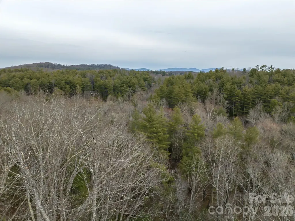 9999 Cedar Hill Drive Asheville NC 28803
