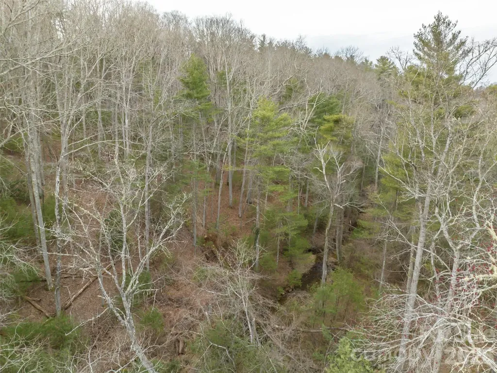 9999 Cedar Hill Drive Asheville NC 28803