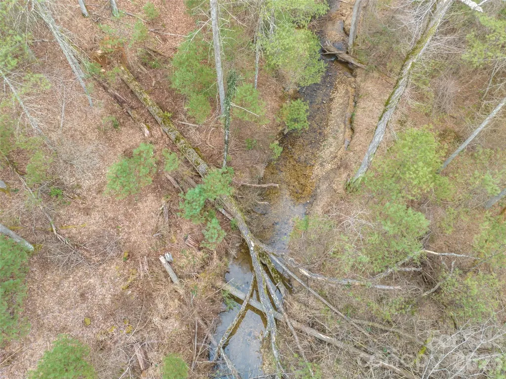 9999 Cedar Hill Drive Asheville NC 28803