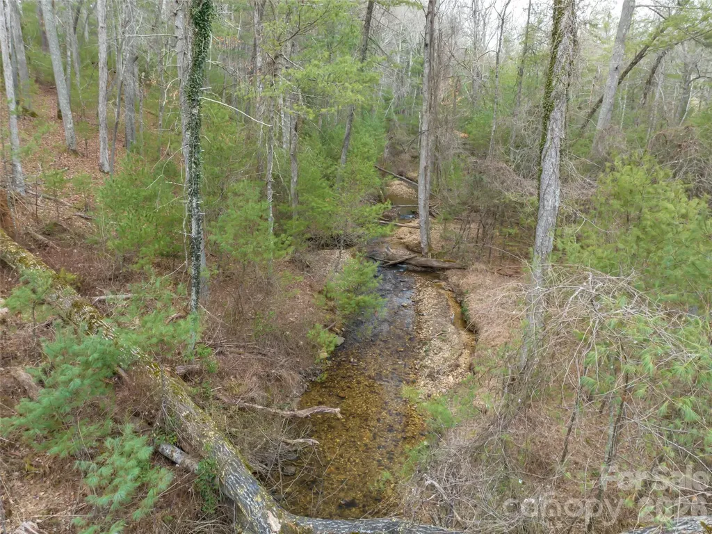9999 Cedar Hill Drive Asheville NC 28803