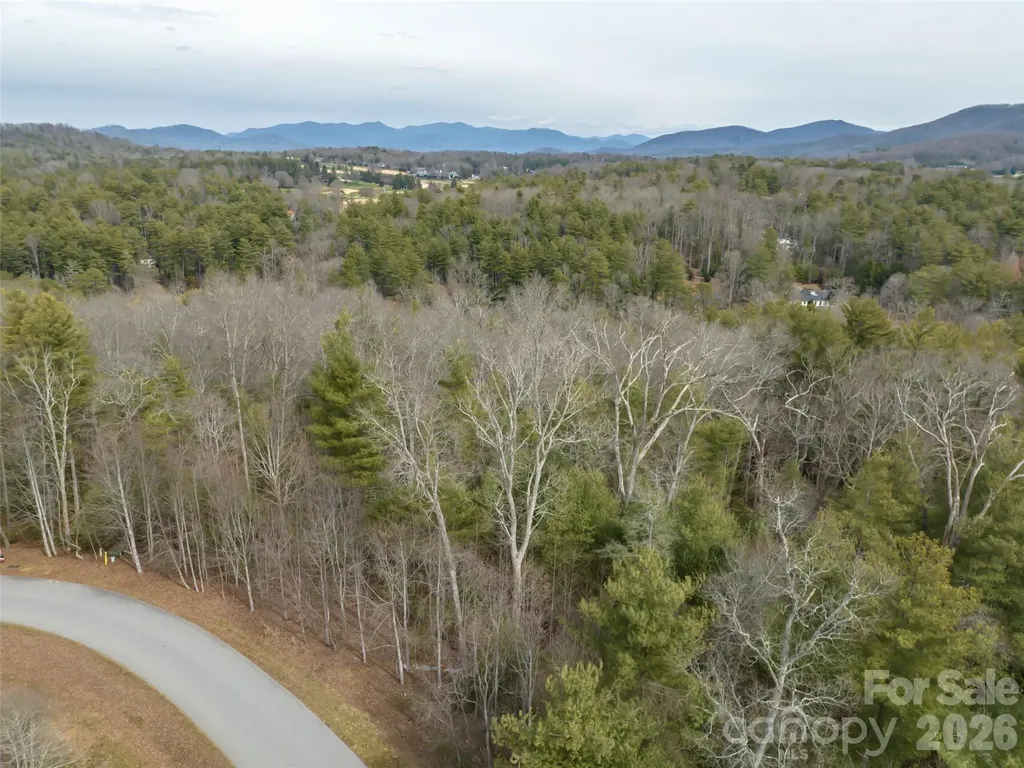 9999 Cedar Hill Drive Asheville NC 28803