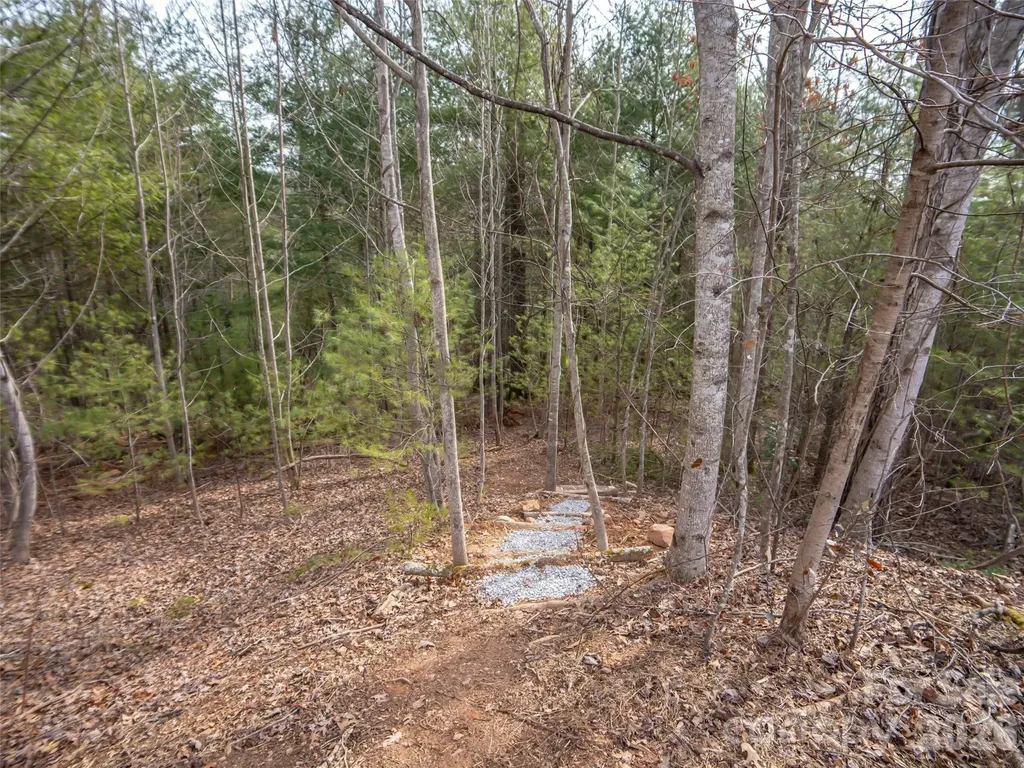 9999 Cedar Hill Drive Asheville NC 28803