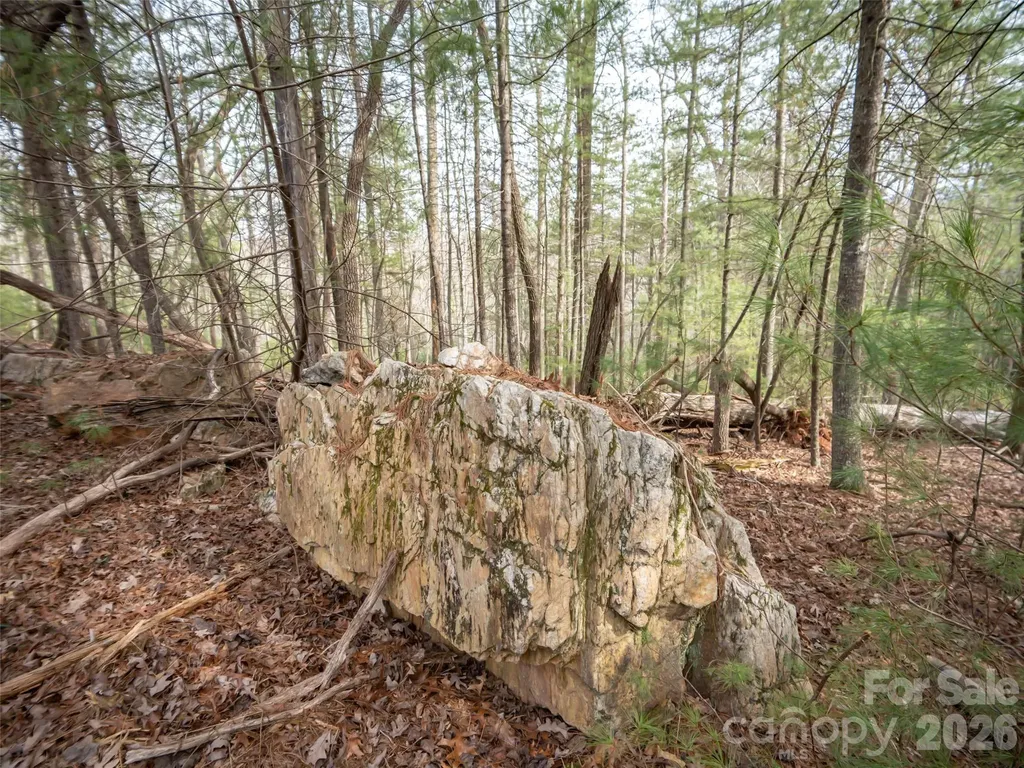 9999 Cedar Hill Drive Asheville NC 28803
