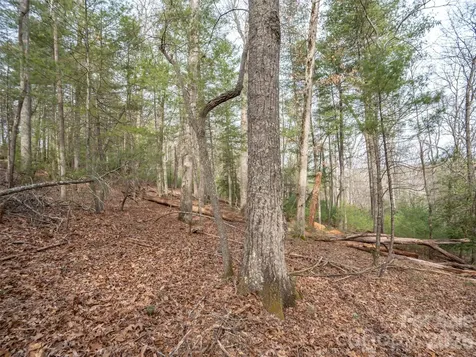 9999 Cedar Hill Drive Asheville NC 28803
