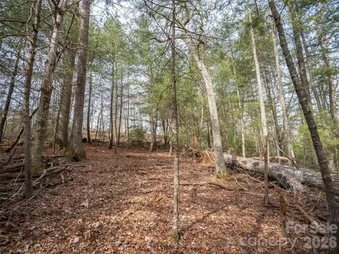 9999 Cedar Hill Drive Asheville NC 28803