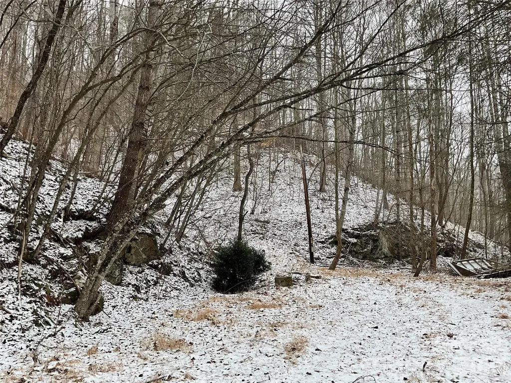 0000 Nc Hwy 197 Highway Green Mountain NC 28740